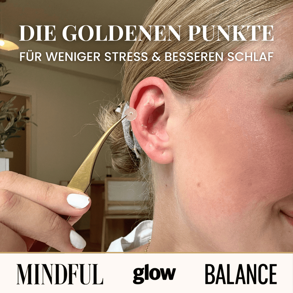 Zen Pops™ Komplett-Set